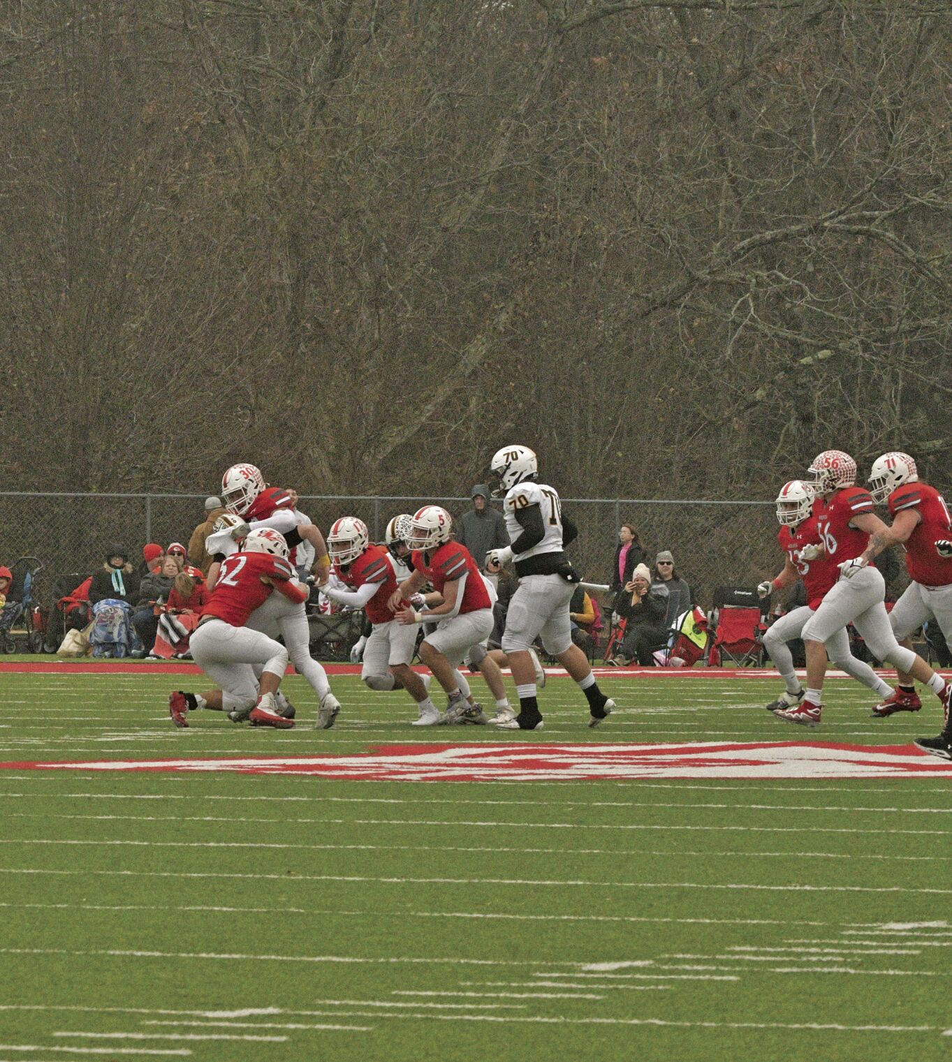 Reeds Spring 13.jpg